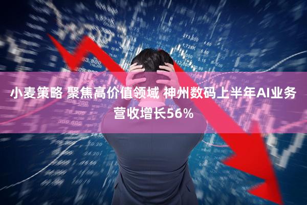 小麦策略 聚焦高价值领域 神州数码上半年AI业务营收增长56%