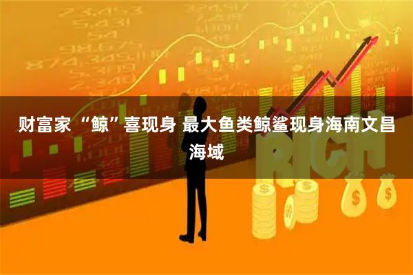 财富家 “鲸”喜现身 最大鱼类鲸鲨现身海南文昌海域