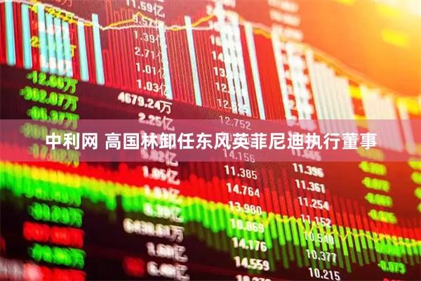 中利网 高国林卸任东风英菲尼迪执行董事