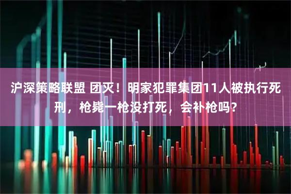 沪深策略联盟 团灭！明家犯罪集团11人被执行死刑，枪毙一枪没打死，会补枪吗？