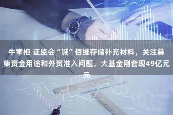 牛掌柜 证监会“喊”佰维存储补充材料，关注募集资金用途和外资准入问题，大基金刚套现49亿元