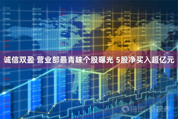 诚信双盈 营业部最青睐个股曝光 5股净买入超亿元