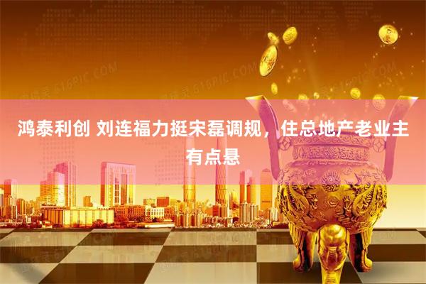 鸿泰利创 刘连福力挺宋磊调规，住总地产老业主有点悬