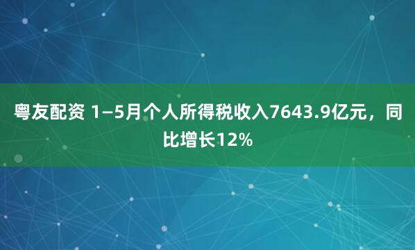 粤友配资 1—5月个人所得税收入7643.9亿元，同比增长12%